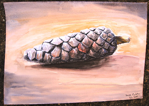 Pine Cone