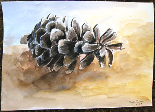 Pine Cone - Expanded