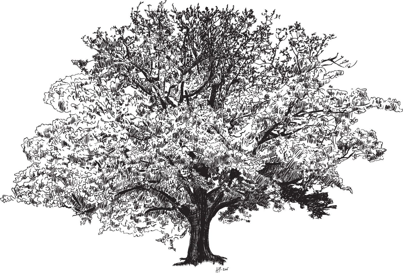 Wide tree