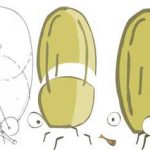 Creation of Georgina character 2